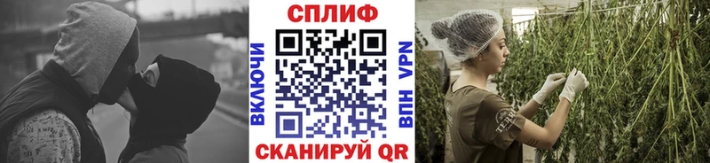 Бошки марихуана гибрид  дарнет шоп  Нефтегорск 
